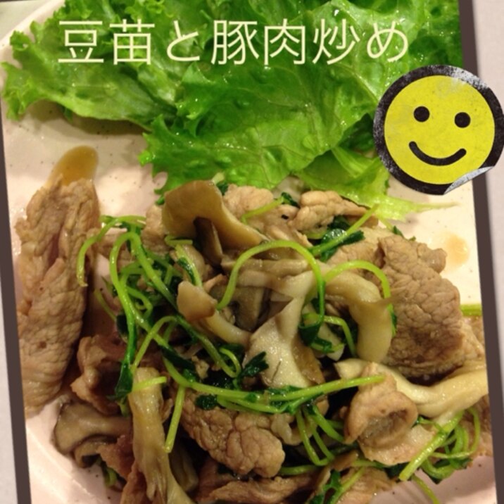 豆苗と豚肉炒め